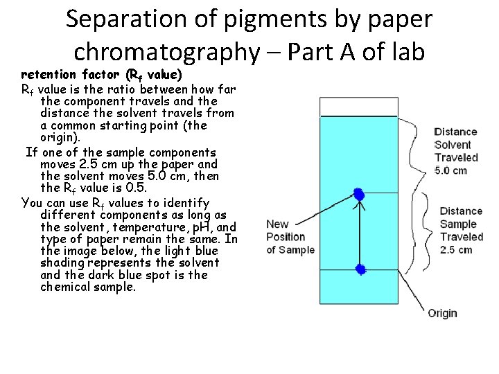 Separation of pigments by paper chromatography – Part A of lab retention factor (Rf
