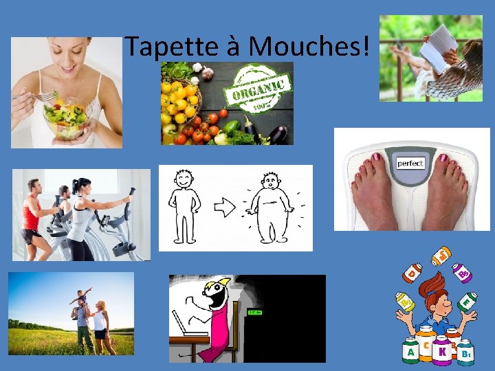 Tapette à Mouches! 