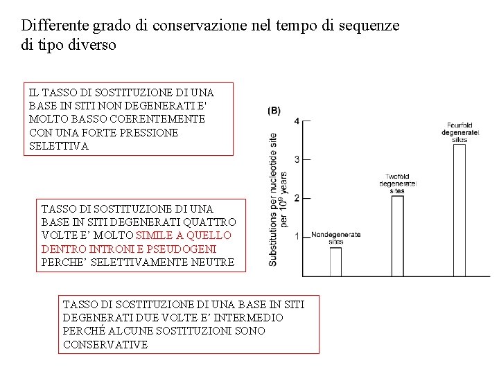 Differente grado di conservazione nel tempo di sequenze di tipo diverso IL TASSO DI