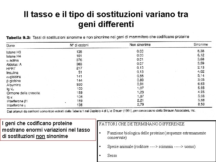 Il tasso e il tipo di sostituzioni variano tra geni differenti I geni che