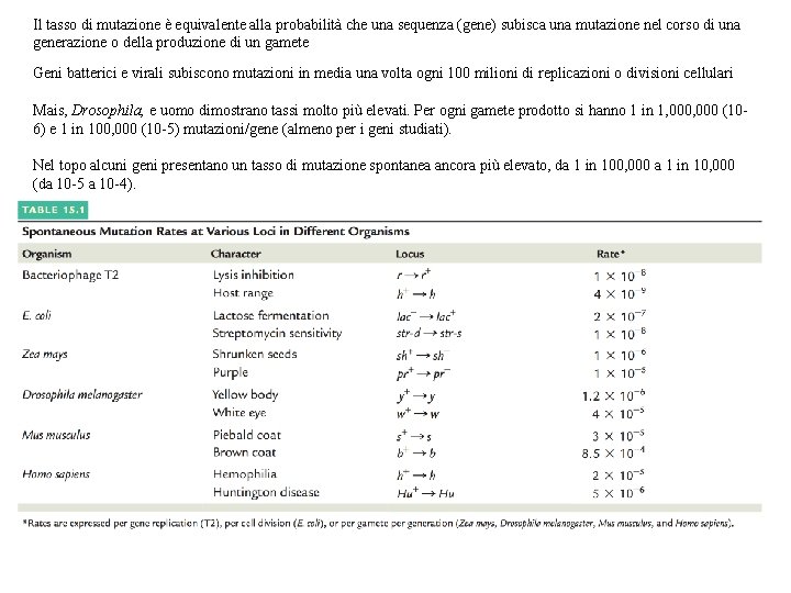 Il tasso di mutazione è equivalente alla probabilità che una sequenza (gene) subisca una