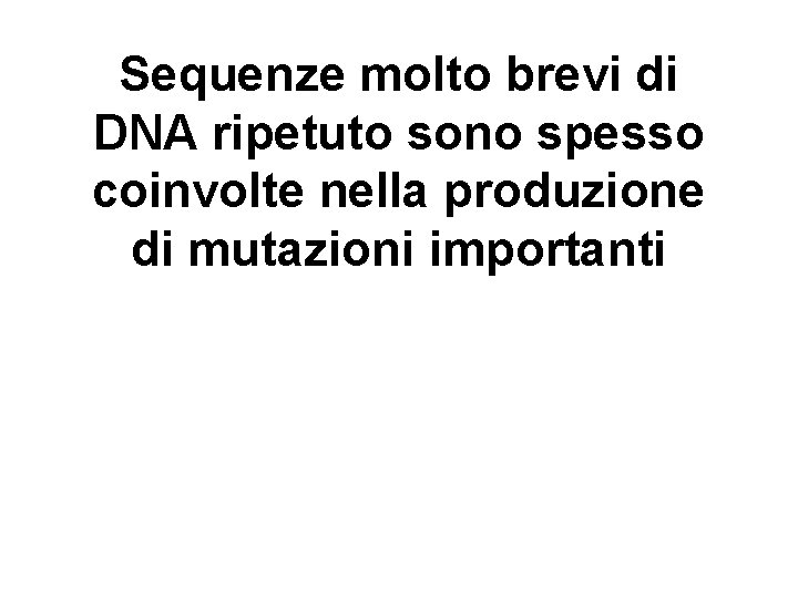 Sequenze molto brevi di DNA ripetuto sono spesso coinvolte nella produzione di mutazioni importanti