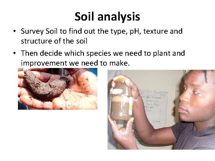 Soil analysis • Survey Soil to find out the type, p. H, texture and