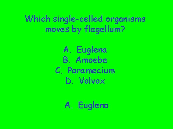 Which single-celled organisms moves by flagellum? A. Euglena B. Amoeba C. Paramecium D. Volvox