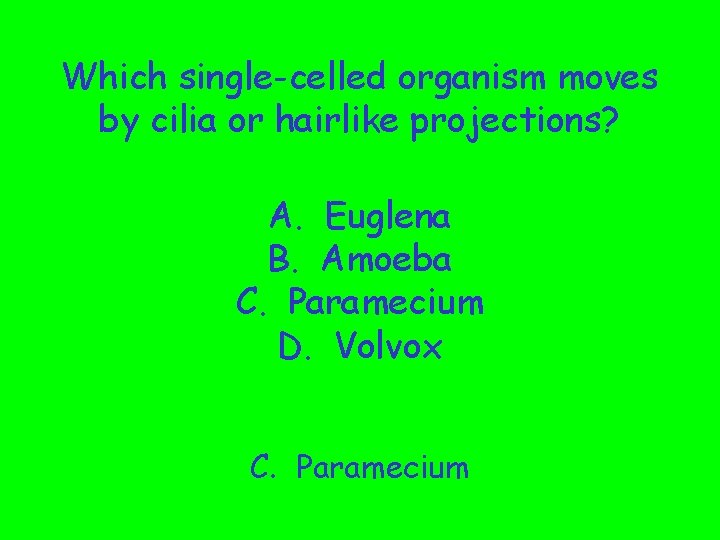 Which single-celled organism moves by cilia or hairlike projections? A. Euglena B. Amoeba C.