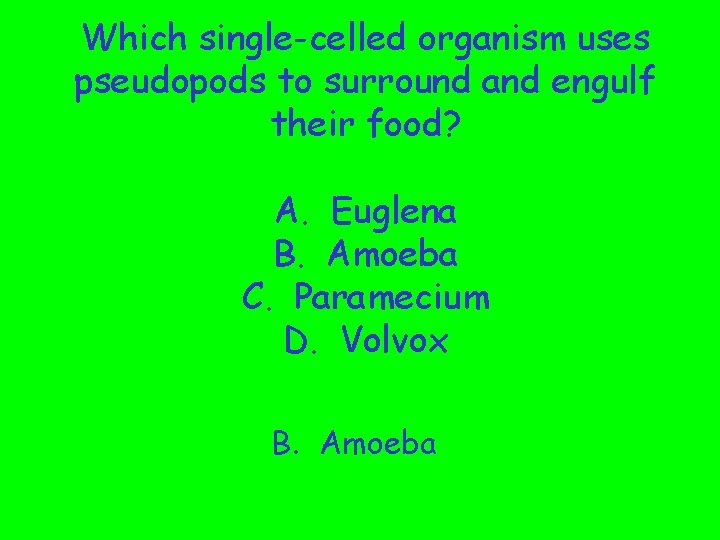 Which single-celled organism uses pseudopods to surround and engulf their food? A. Euglena B.