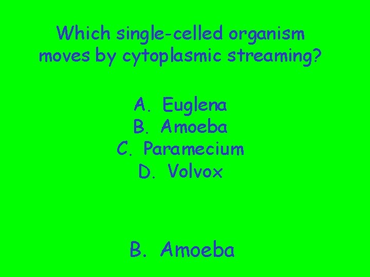 Which single-celled organism moves by cytoplasmic streaming? A. Euglena B. Amoeba C. Paramecium D.