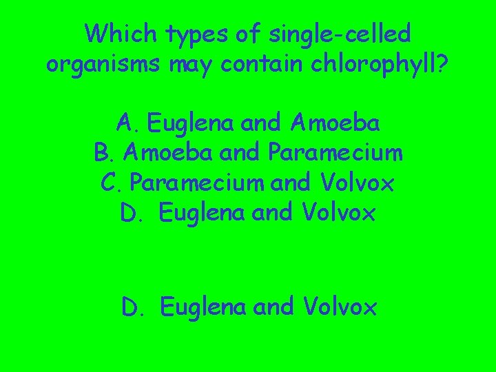 Which types of single-celled organisms may contain chlorophyll? A. Euglena and Amoeba B. Amoeba