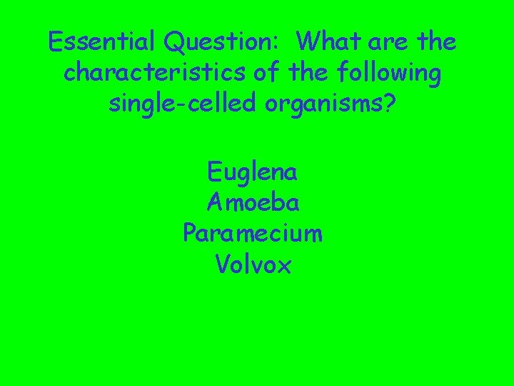 Essential Question: What are the characteristics of the following single-celled organisms? Euglena Amoeba Paramecium