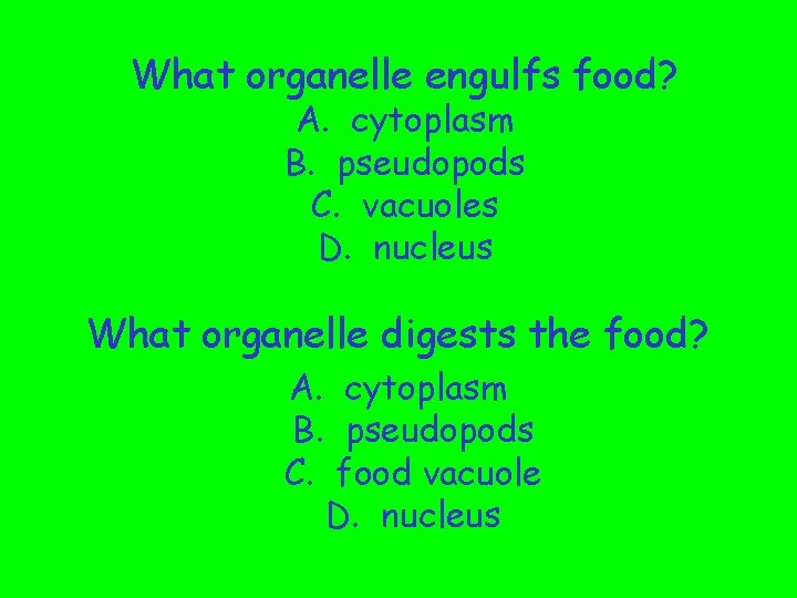 What organelle engulfs food? A. cytoplasm B. pseudopods C. vacuoles D. nucleus What organelle
