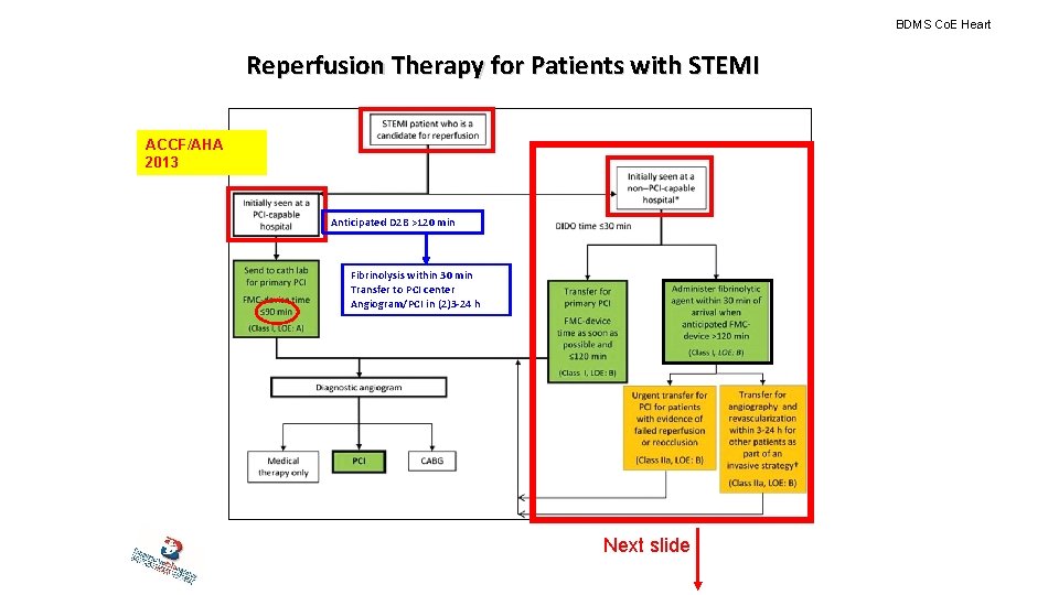 BDMS Co. E Heart Reperfusion Therapy for Patients with STEMI ACCF/AHA 2013 Anticipated D