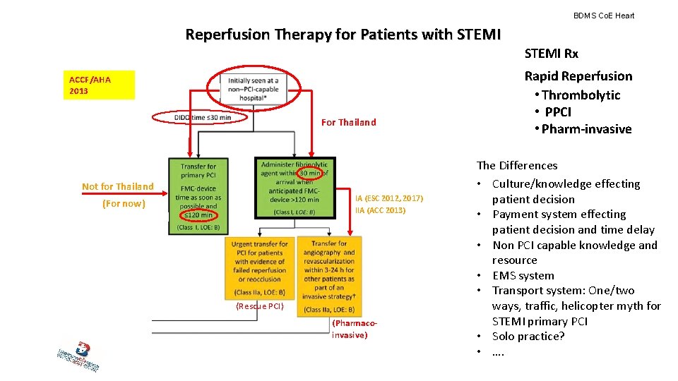 BDMS Co. E Heart Reperfusion Therapy for Patients with STEMI ACCF/AHA 2013 For Thailand