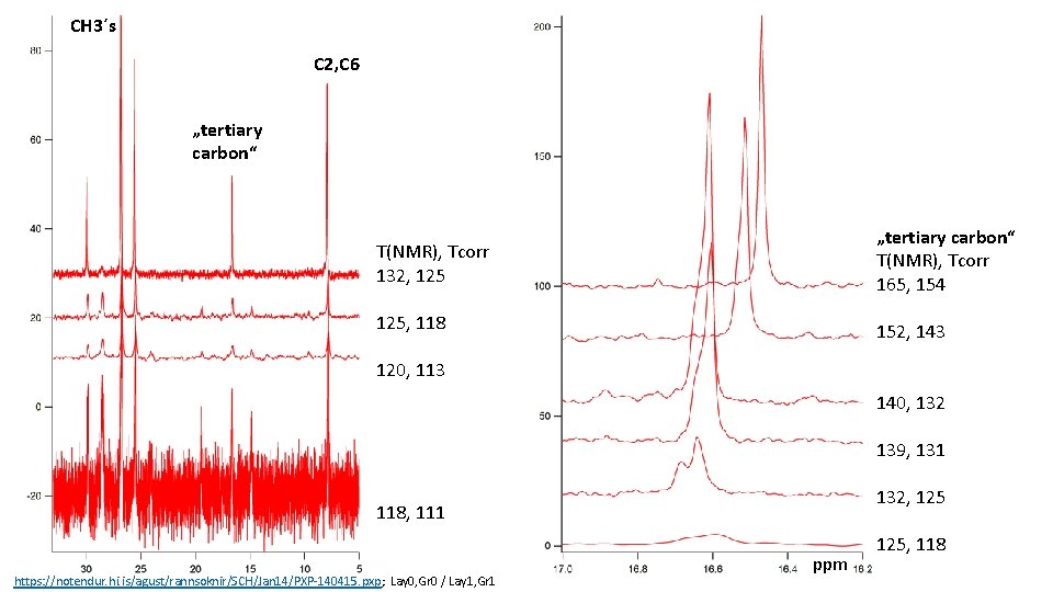 CH 3´s C 2, C 6 „tertiary carbon“ T(NMR), Tcorr 132, 125 „tertiary carbon“