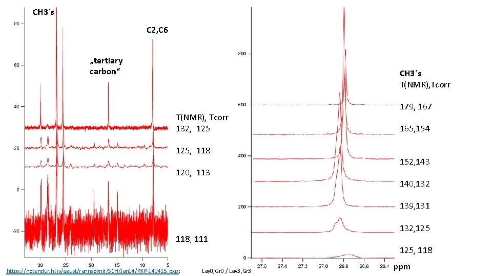 CH 3´s C 2, C 6 „tertiary carbon“ CH 3´s T(NMR), Tcorr 132, 125