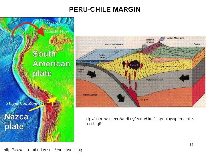 PERU-CHILE MARGIN http: //astro. wsu. edu/worthey/earth/html/im-geology/peru-chiletrench. gif 11 http: //www. clas. ufl. edu/users/jmeert/sam. jpg