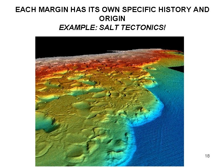 EACH MARGIN HAS ITS OWN SPECIFIC HISTORY AND ORIGIN EXAMPLE: SALT TECTONICS! 18 