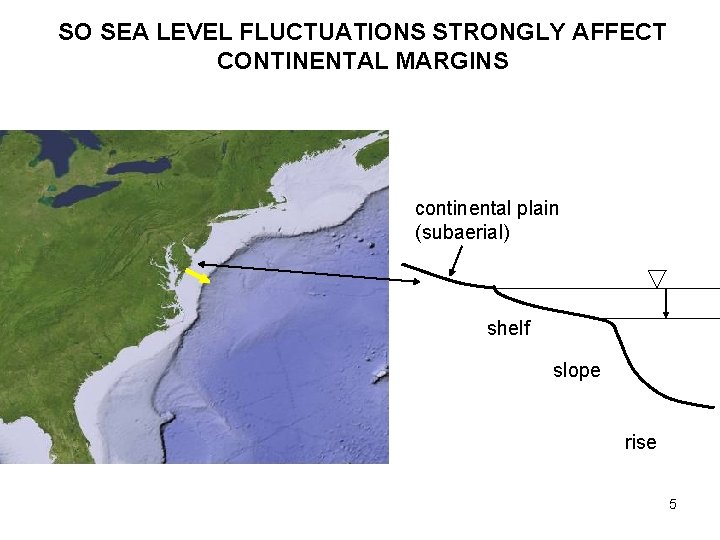 SO SEA LEVEL FLUCTUATIONS STRONGLY AFFECT CONTINENTAL MARGINS continental plain (subaerial) shelf slope rise