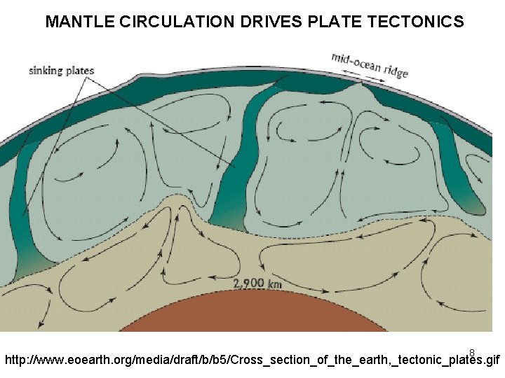 MANTLE CIRCULATION DRIVES PLATE TECTONICS 8 http: //www. eoearth. org/media/draft/b/b 5/Cross_section_of_the_earth, _tectonic_plates. gif 