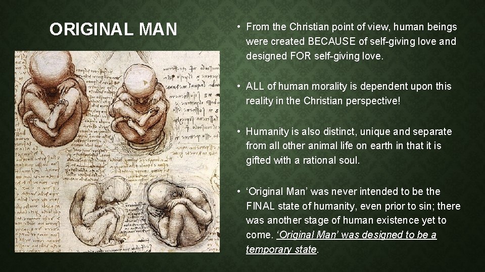 Original Man main image 1