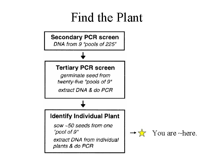 Find the Plant You are ~here. 