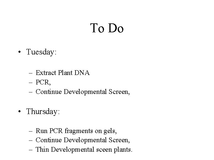 To Do • Tuesday: – Extract Plant DNA – PCR, – Continue Developmental Screen,