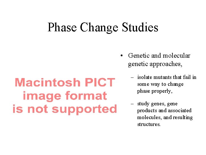 Phase Change Studies • Genetic and molecular genetic approaches, – isolate mutants that fail