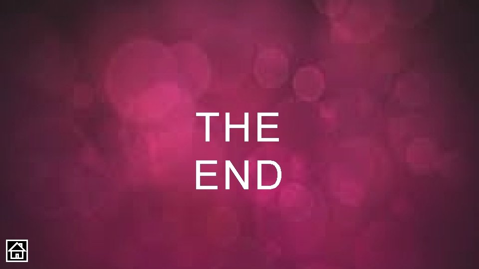 THE END 