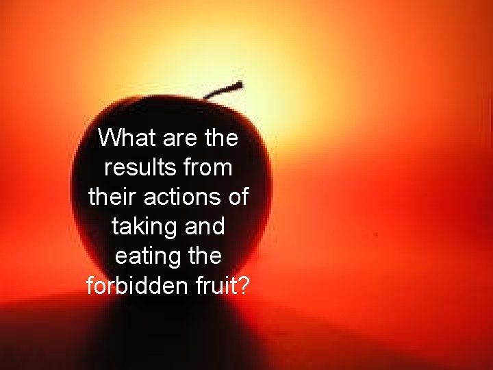 What are the results from their actions of taking and eating the forbidden fruit?