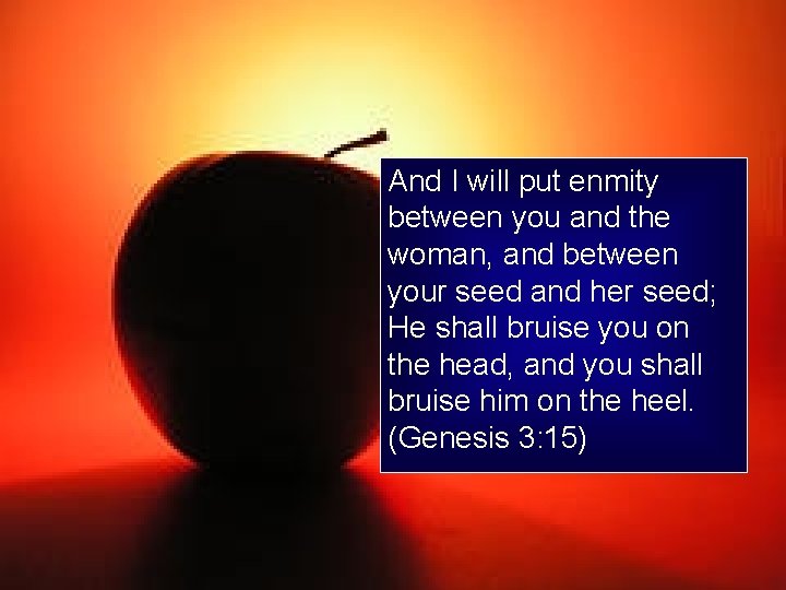 And I will put enmity between you and the woman, and between your seed