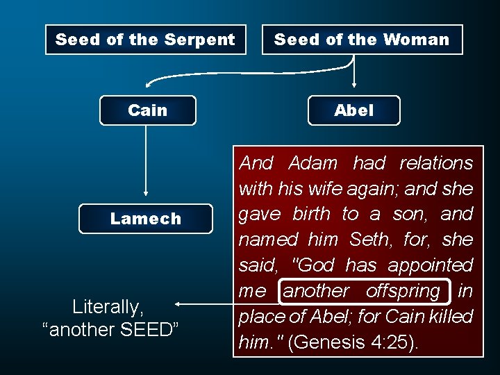 Seed of the Serpent Cain Lamech Literally, “another SEED” Seed of the Woman Abel