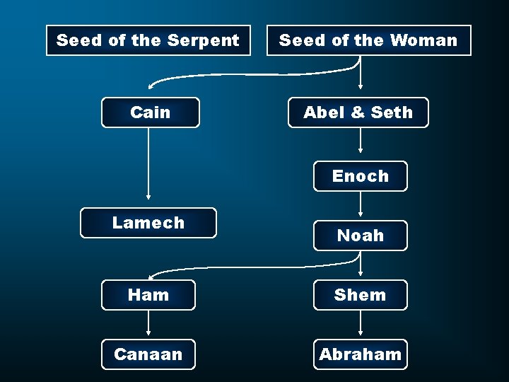 Seed of the Serpent Cain Seed of the Woman Abel & Seth Enoch Lamech