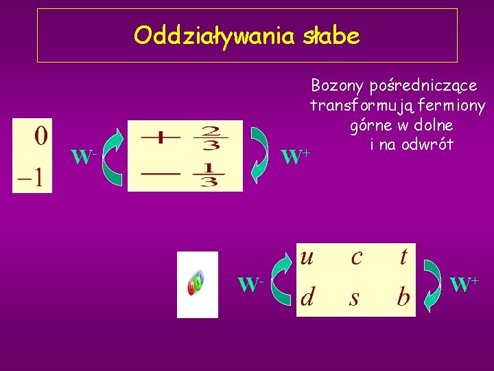 Oddziaływania słabe Bozony pośredniczące transformują fermiony górne w dolne i na odwrót + W-
