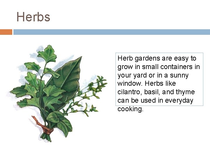 Herbs Herb gardens are easy to grow in small containers in your yard or Herbs Herb gardens are easy to grow in small containers in your yard or
