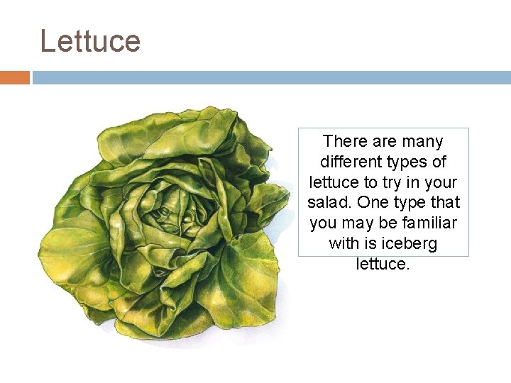 Lettuce There are many different types of lettuce to try in your salad. One Lettuce There are many different types of lettuce to try in your salad. One