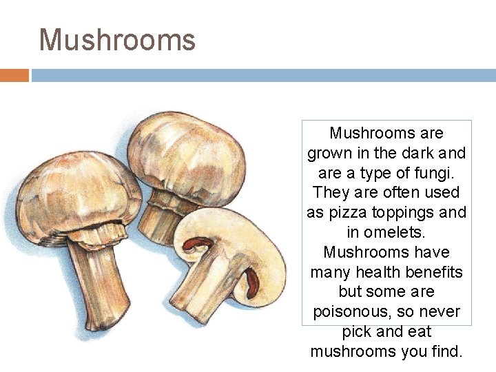 Mushrooms are grown in the dark and are a type of fungi. They are Mushrooms are grown in the dark and are a type of fungi. They are