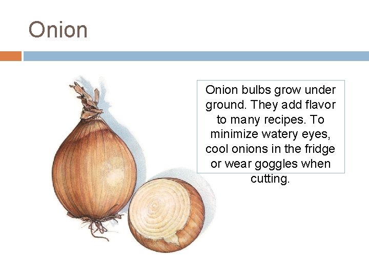 Onion bulbs grow under ground. They add flavor to many recipes. To minimize watery Onion bulbs grow under ground. They add flavor to many recipes. To minimize watery