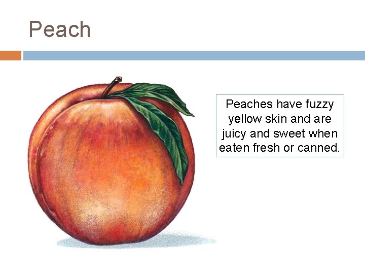 Peaches have fuzzy yellow skin and are juicy and sweet when eaten fresh or Peaches have fuzzy yellow skin and are juicy and sweet when eaten fresh or