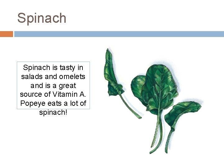 Spinach is tasty in salads and omelets and is a great source of Vitamin Spinach is tasty in salads and omelets and is a great source of Vitamin