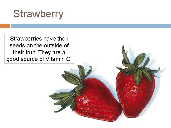 Strawberry Strawberries have their seeds on the outside of their fruit. They are a Strawberry Strawberries have their seeds on the outside of their fruit. They are a