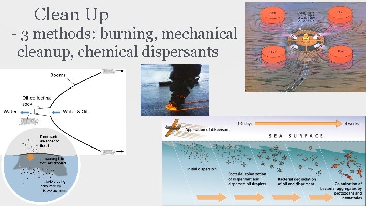 Clean Up - 3 methods: burning, mechanical cleanup, chemical dispersants 