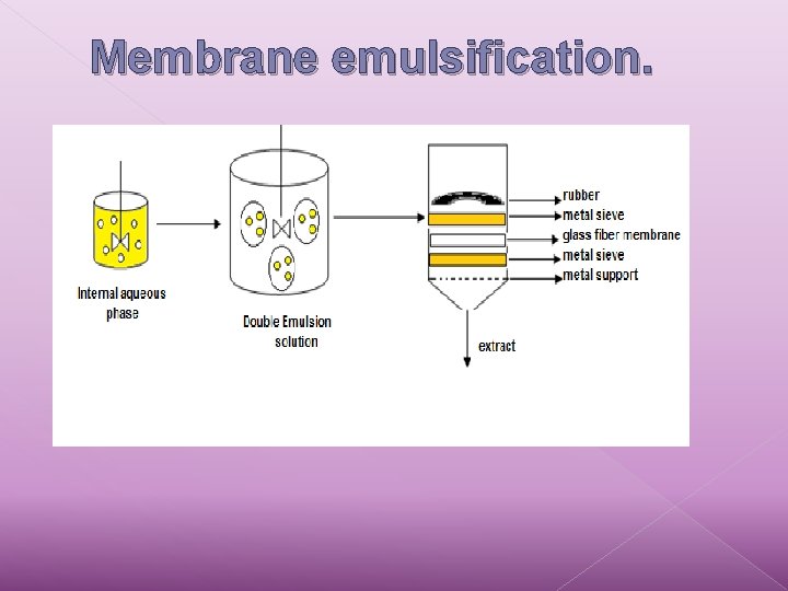 Membrane emulsification. 