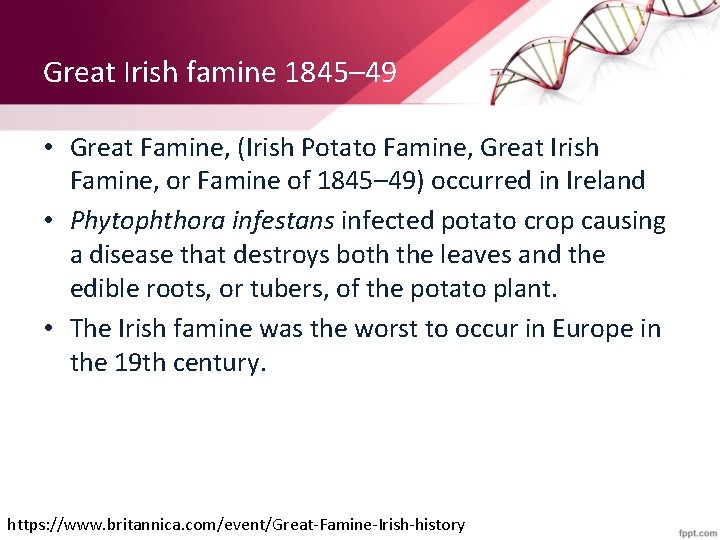 Great Irish famine 1845– 49 • Great Famine, (Irish Potato Famine, Great Irish Famine,