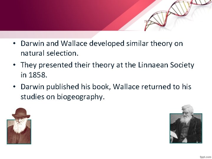  • Darwin and Wallace developed similar theory on natural selection. • They presented