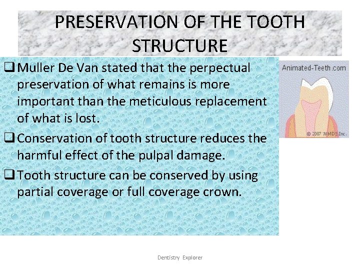 PRESERVATION OF THE TOOTH STRUCTURE q Muller De Van stated that the perpectual preservation