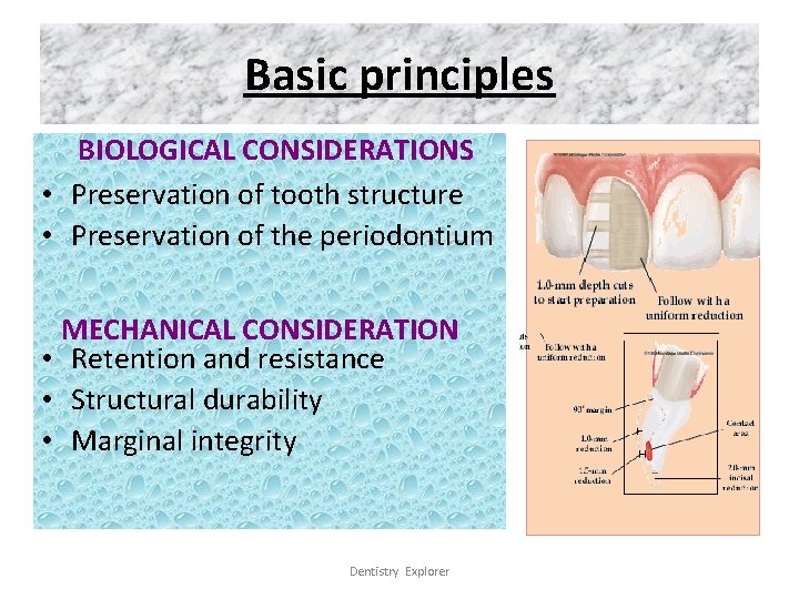 Basic principles BIOLOGICAL CONSIDERATIONS • Preservation of tooth structure • Preservation of the periodontium