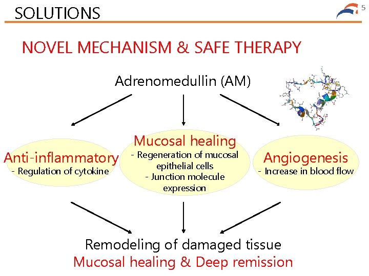 SOLUTIONS 5 NOVEL MECHANISM & SAFE THERAPY Adrenomedullin (AM) Anti-inflammatory - Regulation of cytokine