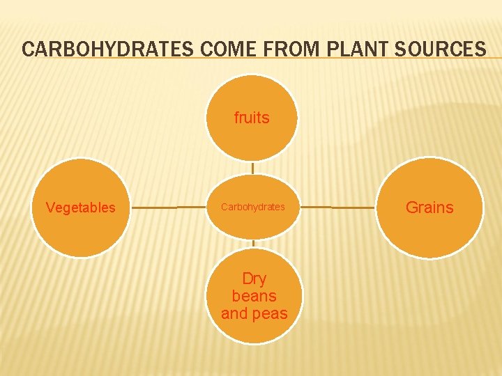 CARBOHYDRATES COME FROM PLANT SOURCES fruits Vegetables Carbohydrates Dry beans and peas Grains 