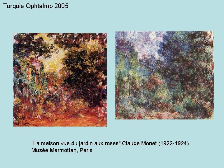Turquie Ophtalmo 2005 "La maison vue du jardin aux roses" Claude Monet (1922 -1924)