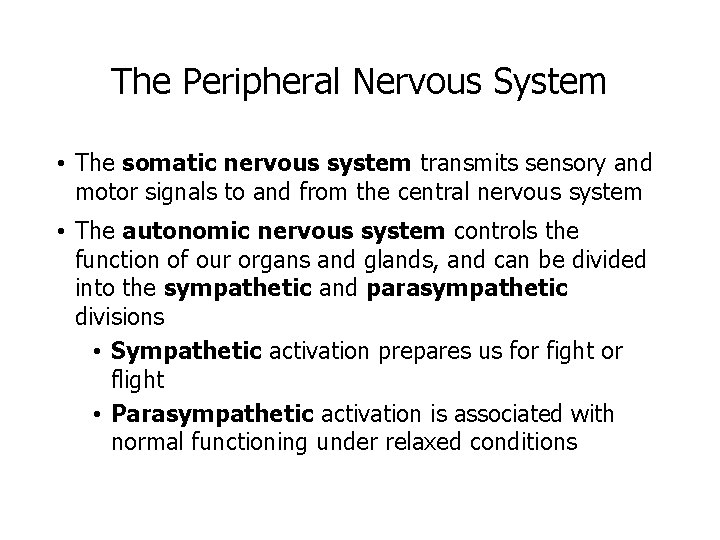 The Peripheral Nervous System • The somatic nervous system transmits sensory and motor signals