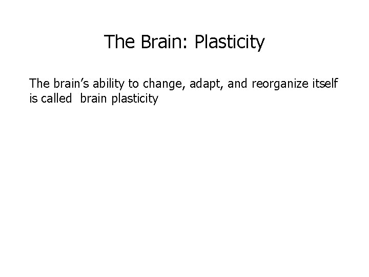 The Brain: Plasticity The brain’s ability to change, adapt, and reorganize itself is called